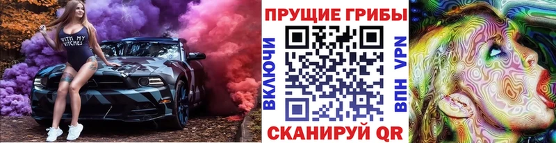 где купить наркоту  Талдом  Галлюциногенные грибы MAGIC MUSHROOMS 
